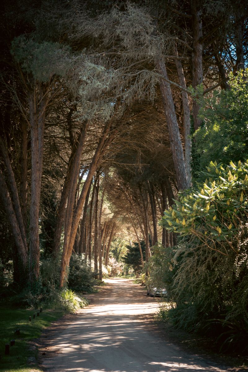 Weather Photos in Buenos Aires. Weather forecasts with beautiful photos by Franexr