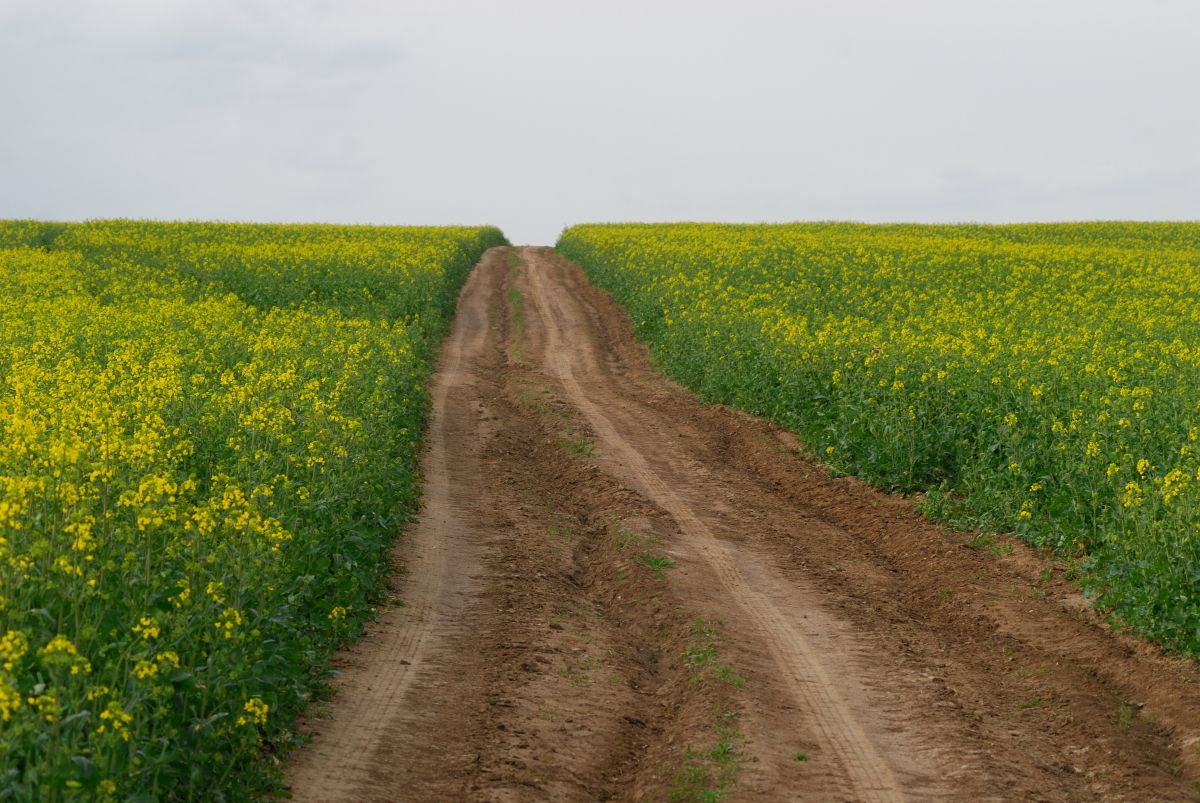 Weather Photos in Kaluga Oblast. Weather forecasts with beautiful photos by MadFox2001