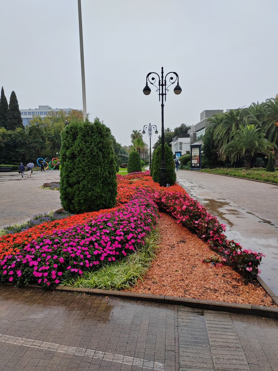 Фотографии Погоды в Сочи. Прогнозы погоды с чудесными фотографиями, сделанными Albert_Smelovtsev