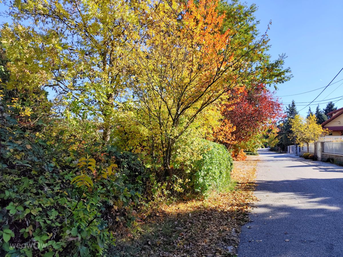 Photographer sloarai, Weather Photos in Budapest - Weawow