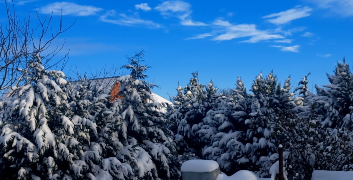 Fotos do tempo em Armavir. Previsões do tempo com lindas fotos de pprrhh