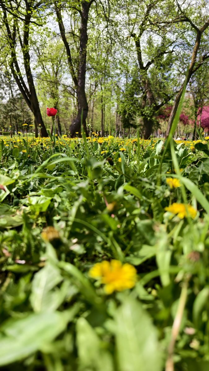 Weather Photos in Cluj-Napoca. Weather forecasts with beautiful photos by MakiCami