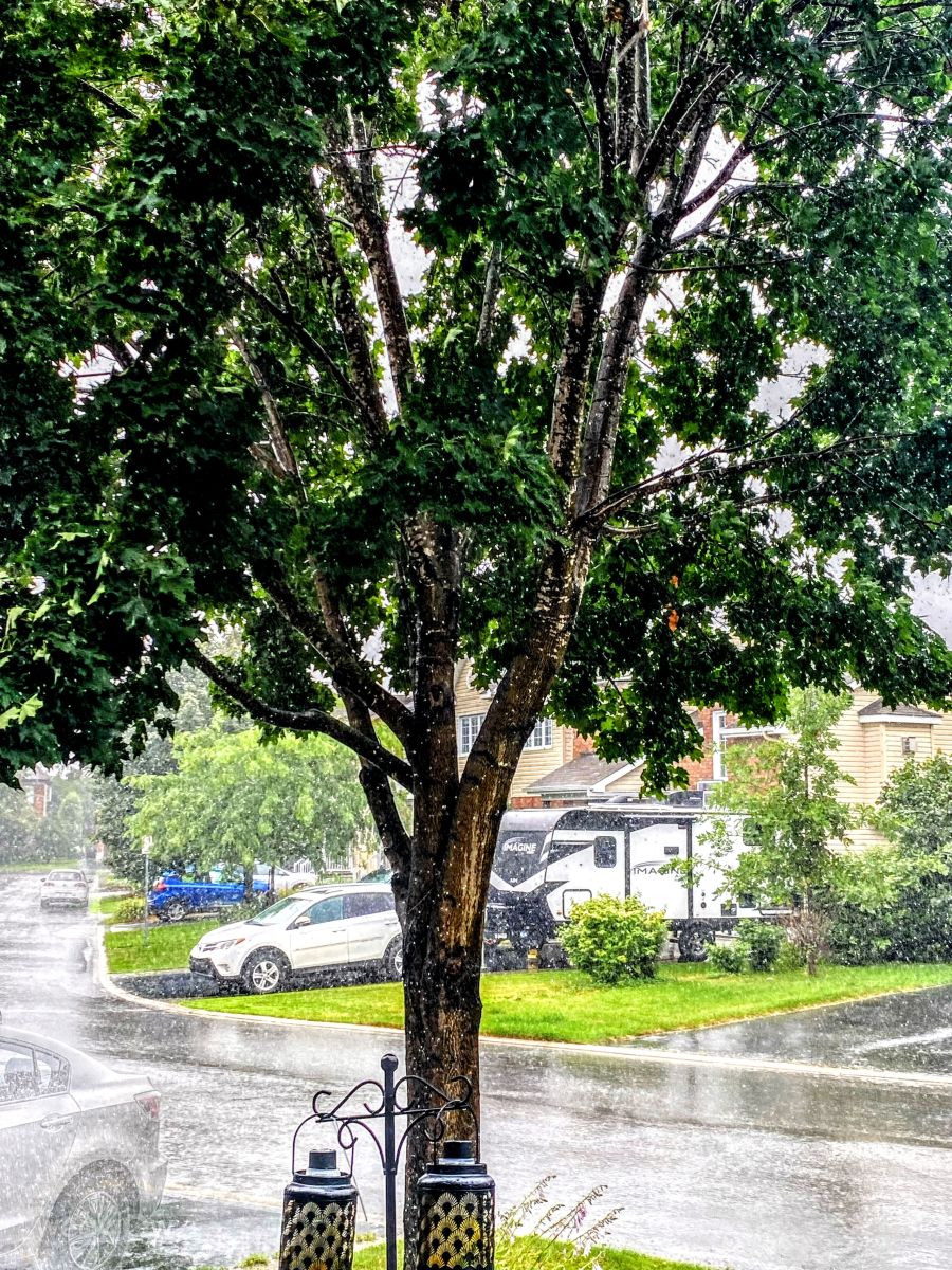 Photograph Lulu5523, Wetter Photos le Plateau - Weawow