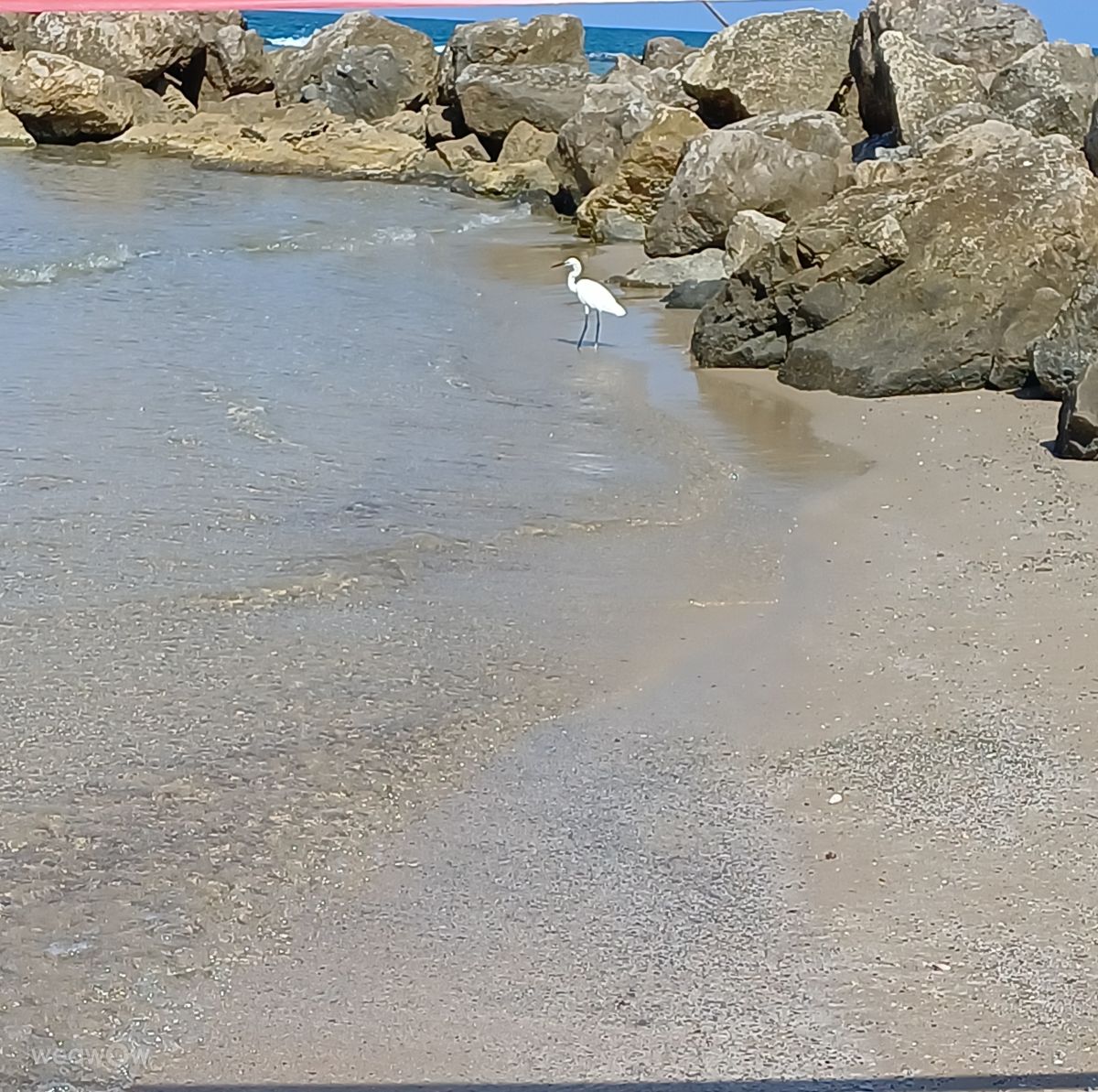 Fotos sobre el clima en Bat Yam. Pronósticos del tiempo con hermosas fotos de Zaza