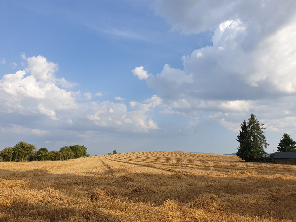 Wettervorhersagen mit schönen Fotos von Silvestre97