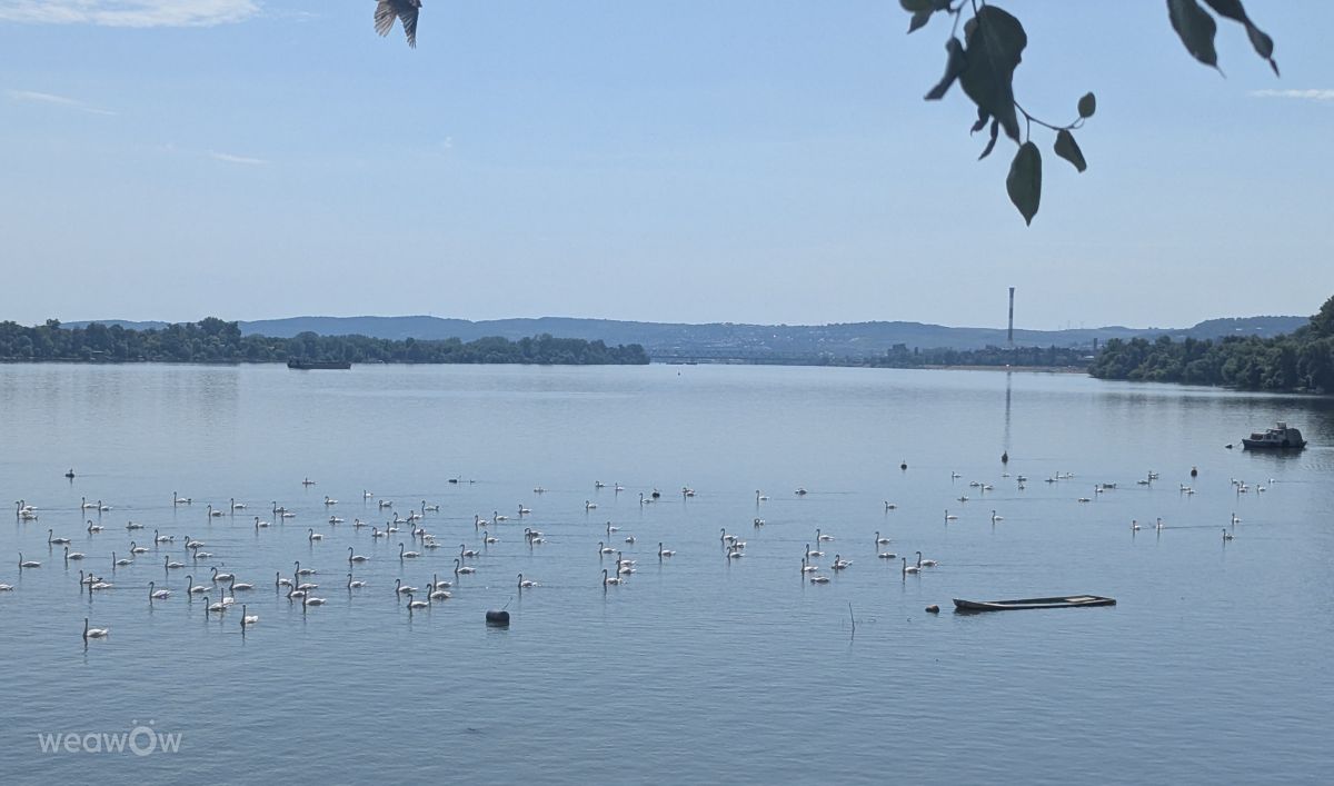Fotos sobre el clima en Belgrado. Pronósticos del tiempo con hermosas fotos de TrishAme