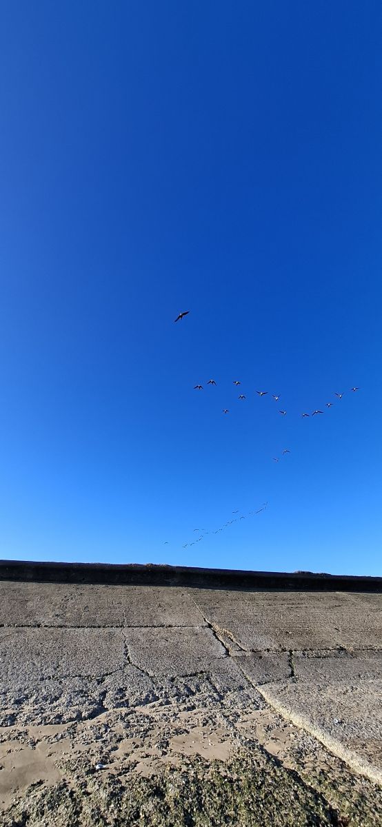 写真家 Lolli、Leysdown-on-Seaの天気写真 - Weawow