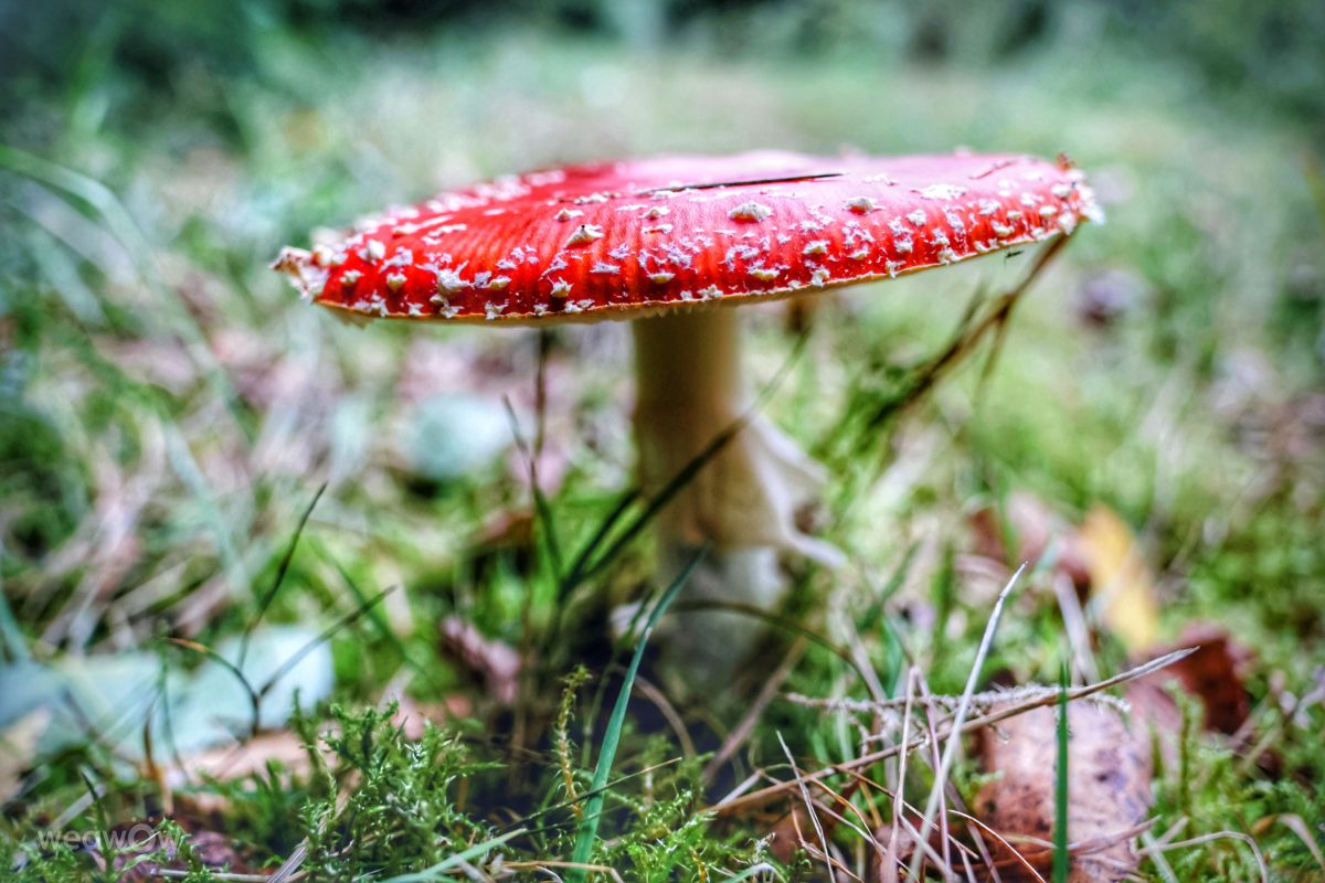 Weather Photos in Affeln. Weather forecasts with beautiful photos by Lotti5507