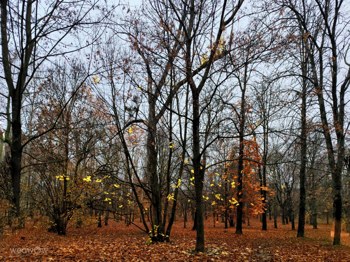 Templomkertの天気写真. sloaraiの美しい写真による天気予報