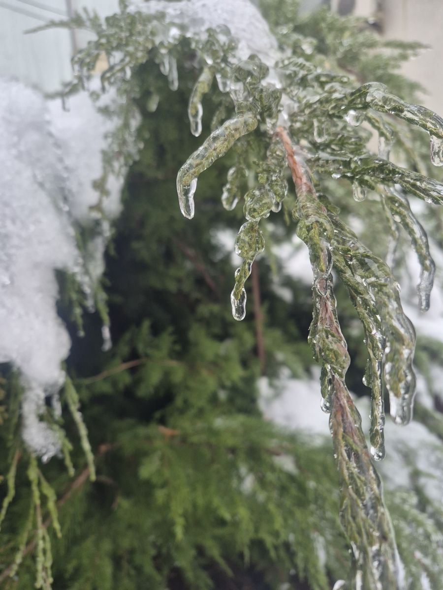 Fotos sobre el clima en Bila Tserkva. Pronósticos del tiempo con hermosas fotos de Маргарита Котенко