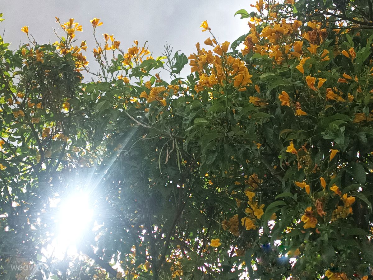 Weather Photos in Colombia. Weather forecasts with beautiful photos by Nelson Soler Becerra