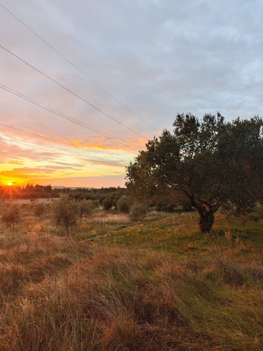 写真家 RoncevicR、Dubravaの天気写真 - Weawow
