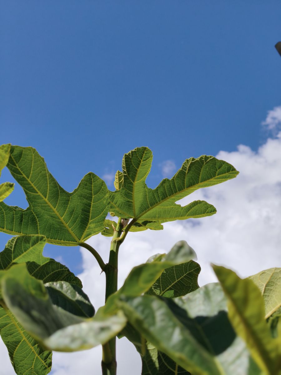 智利的天气照片. 天气预报，带MarioMartínezB精美的照片