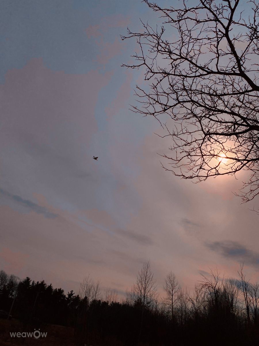 Wetter Photos Outaouais. Wettervorhersagen mit schönen Fotos von Lulu5523