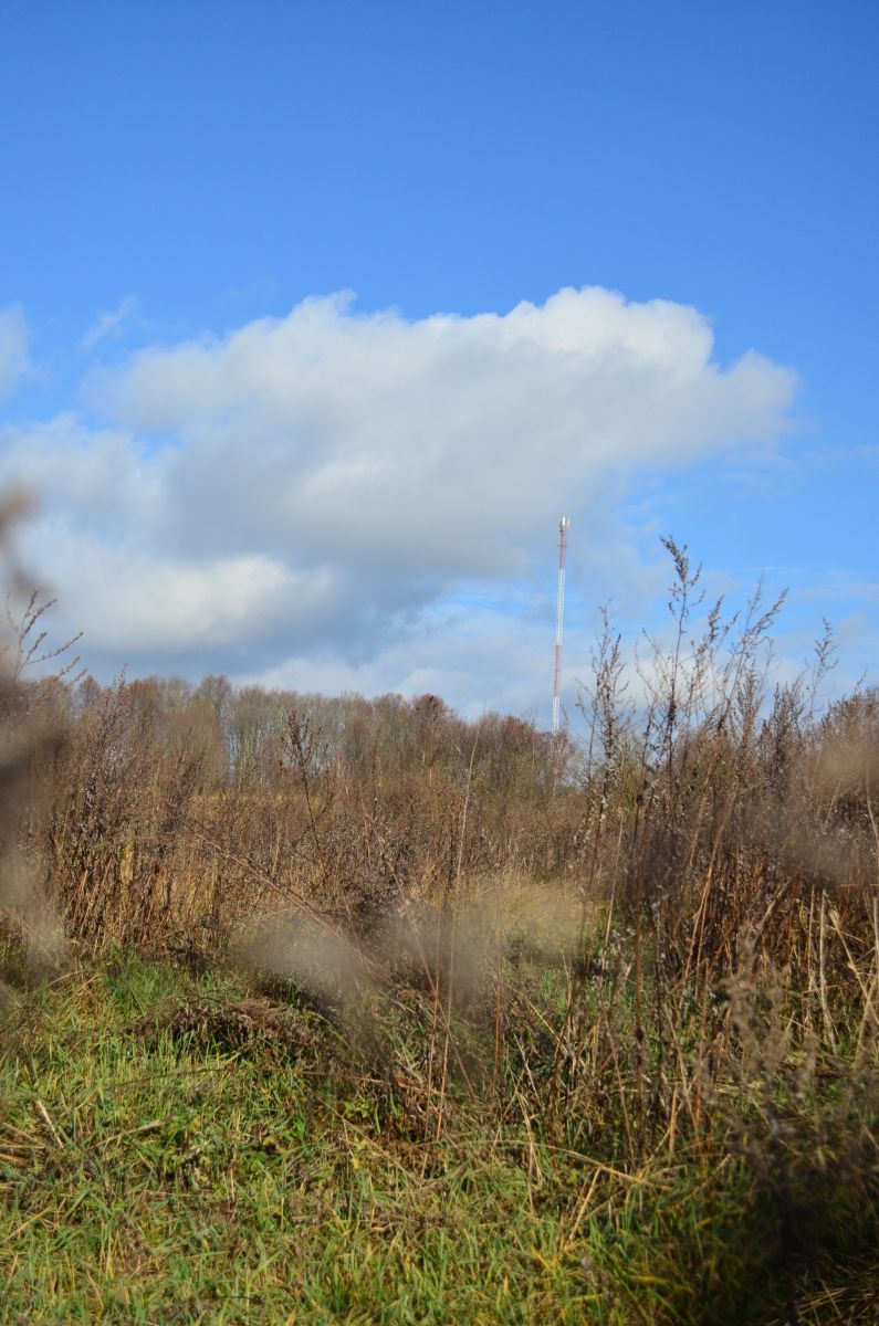 Wetter Photos Welikije Luki. Wettervorhersagen mit schönen Fotos von Krumas