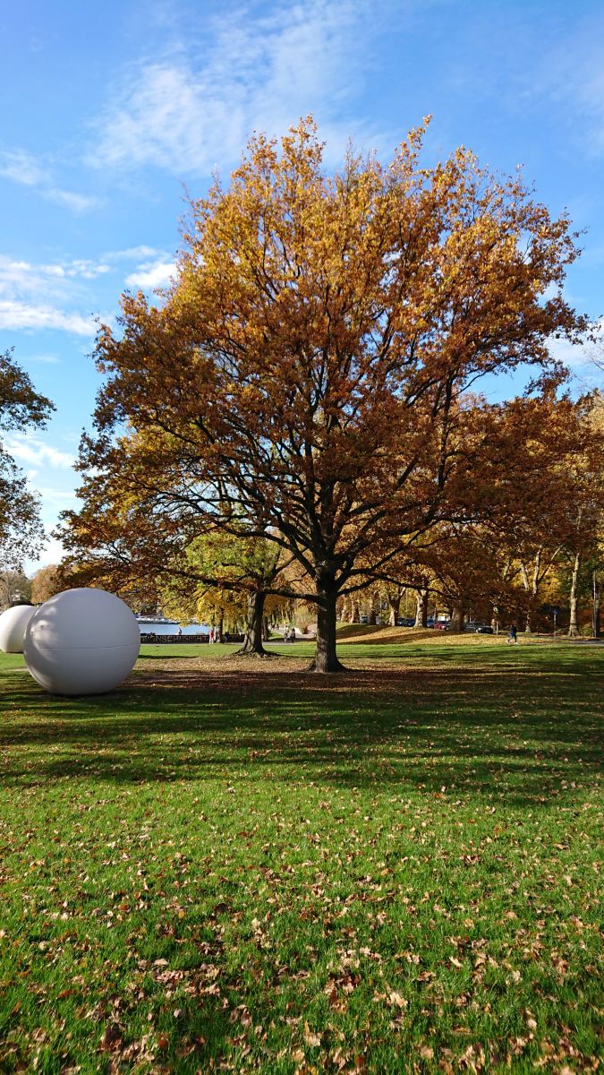 Photograph eagle1969, Wetter Photos Münster - Weawow