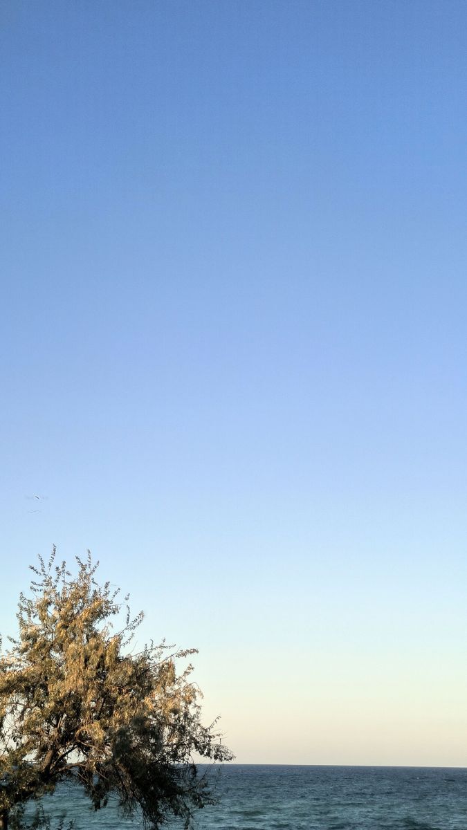 Fotos sobre el clima en Eforie Sud. Pronósticos del tiempo con hermosas fotos de YanBog