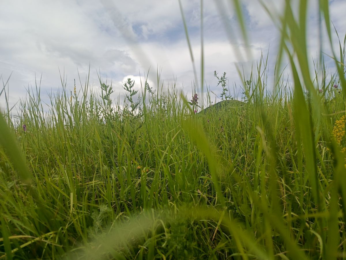 Weather Photos in Pyatigorsk. Weather forecasts with beautiful photos by Андрей_Медведский