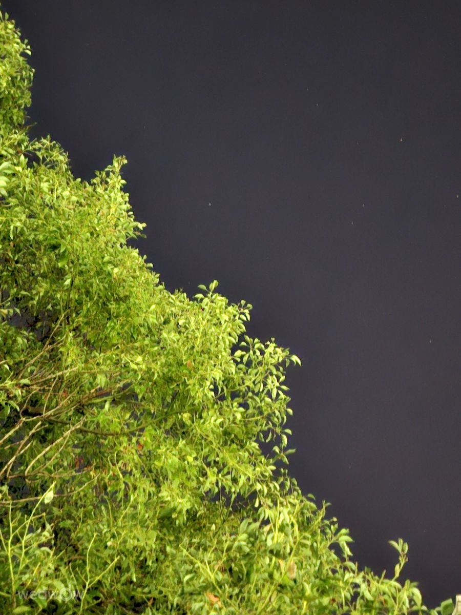 Weather Photos in Kaohsiung City. Weather forecasts with beautiful photos by Wen-ya Huang