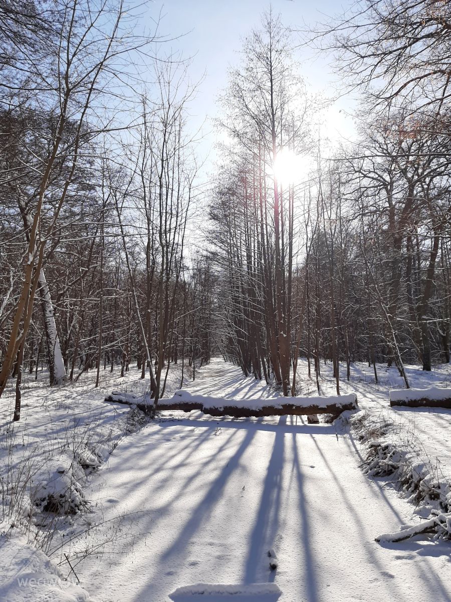 Weather Photos in Baltiysk. Weather forecasts with beautiful photos by Aleks39rus