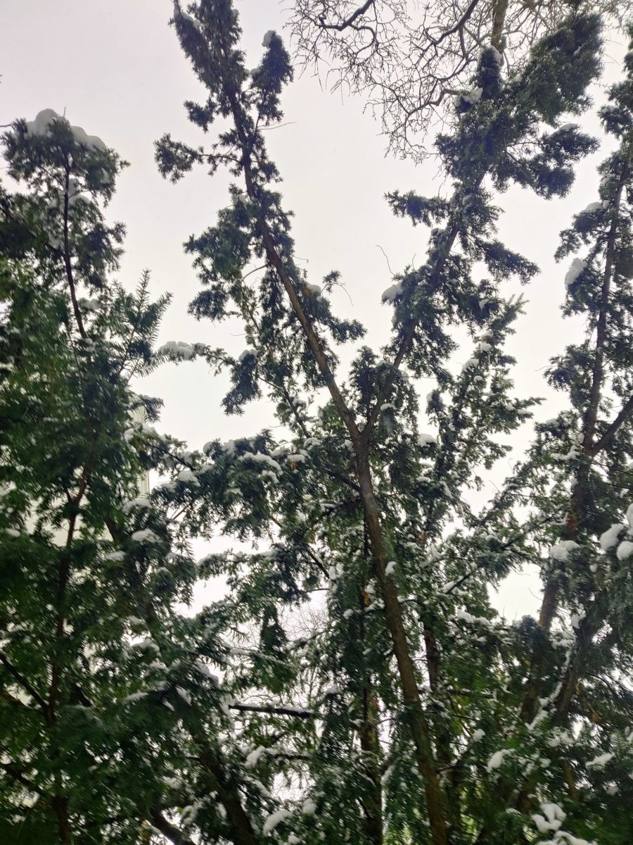 Фотограф Zorrra, Фотографии Погоды в Neukölln - Weawow