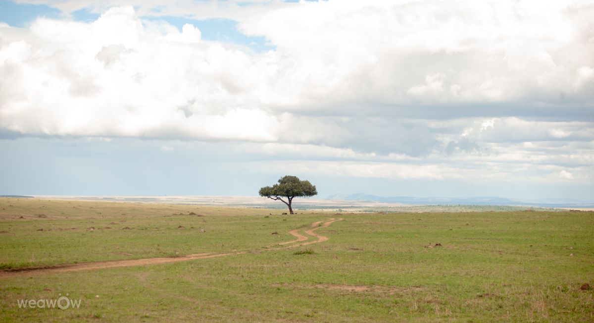 Weather Photos in Kenya. Weather forecasts with beautiful photos by vish_fx