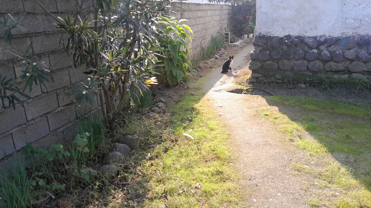 Hình ảnh Thời tiết ở I-ran. Dự báo thời tiết với những bức ảnh đẹp của Soheilpmi