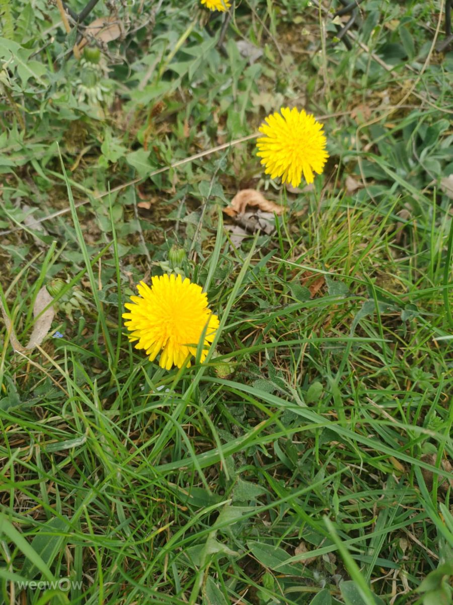 Фотографии Погоды в Ломжа. Прогнозы погоды с чудесными фотографиями, сделанными Ania-12