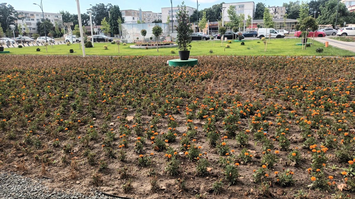 Weather Photos in Ialomița County. Weather forecasts with beautiful photos by Nuta Ionela