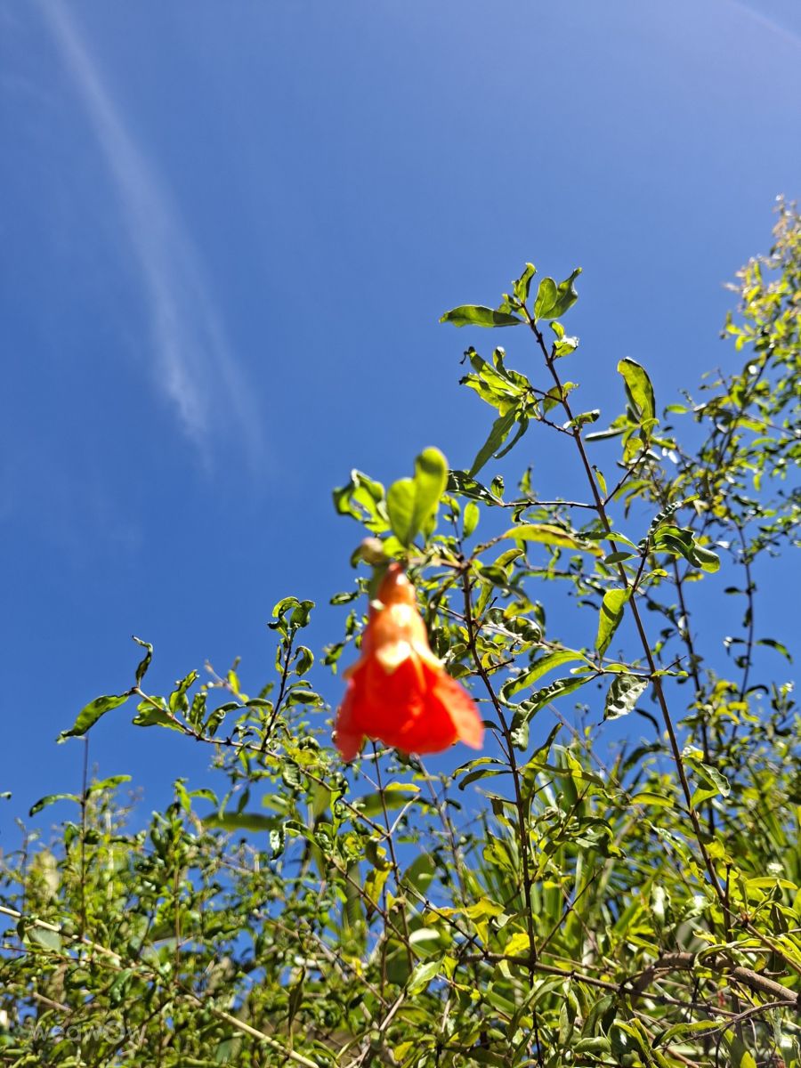 Fotografos Wen-ya Huang, Fotos do tempo em Kaohsiung City - Weawow