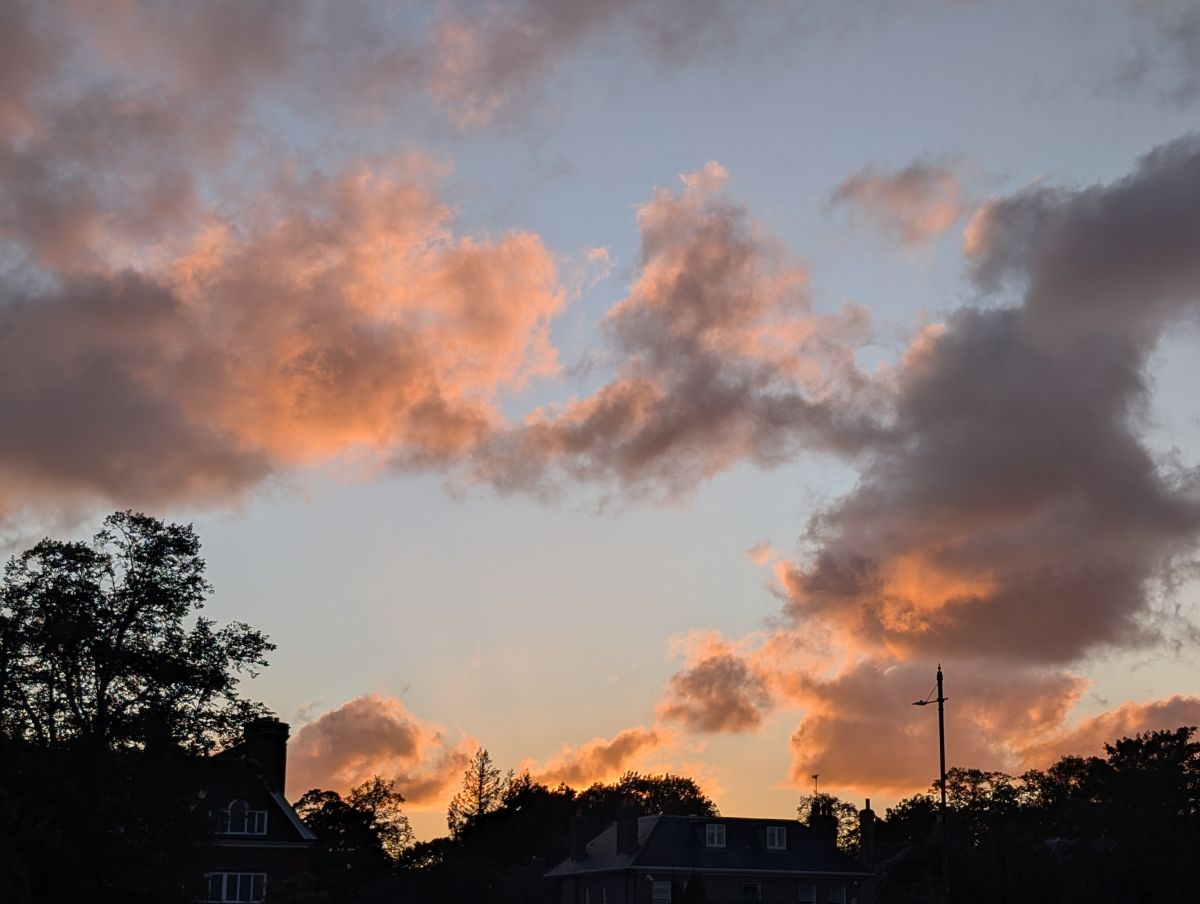 Weather Photos in Lyne Lane. Weather forecasts with beautiful photos by Petewhites
