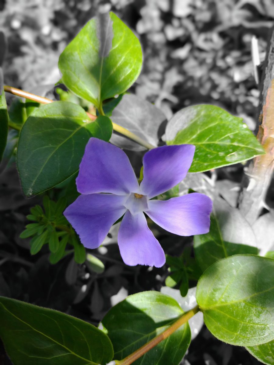 Weather Photos in Grenada. Weather forecasts with beautiful photos by Paracelso