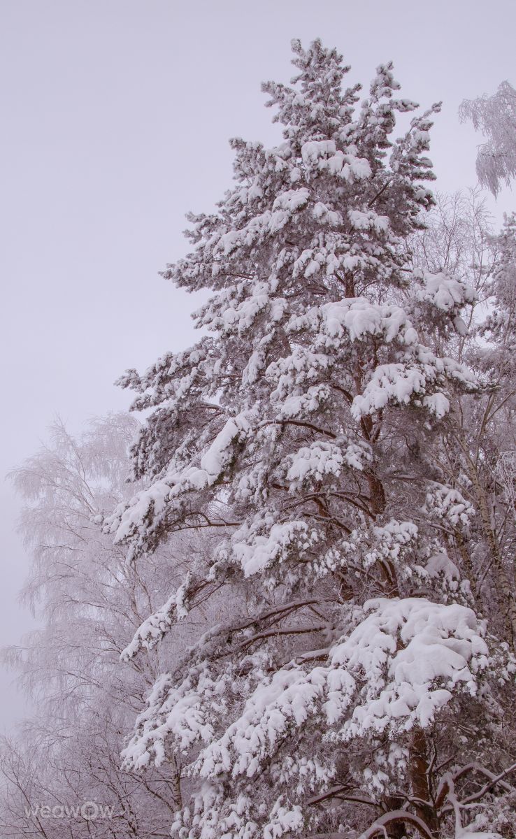 Weather Photos in Mikhnevo. Weather forecasts with beautiful photos by Alex_M_Pakarev