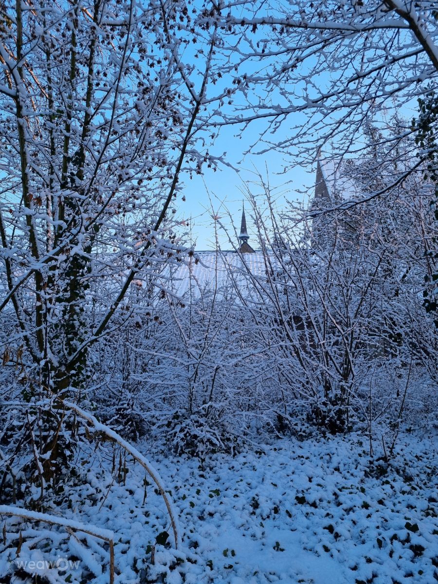 Weather forecasts with beautiful photos by Greet