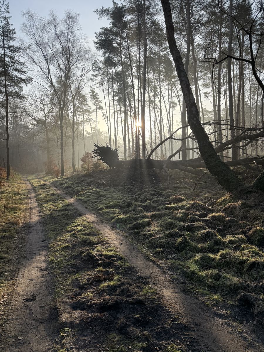 Weather Photos in The Netherlands. Weather forecasts with beautiful photos by Zjee
