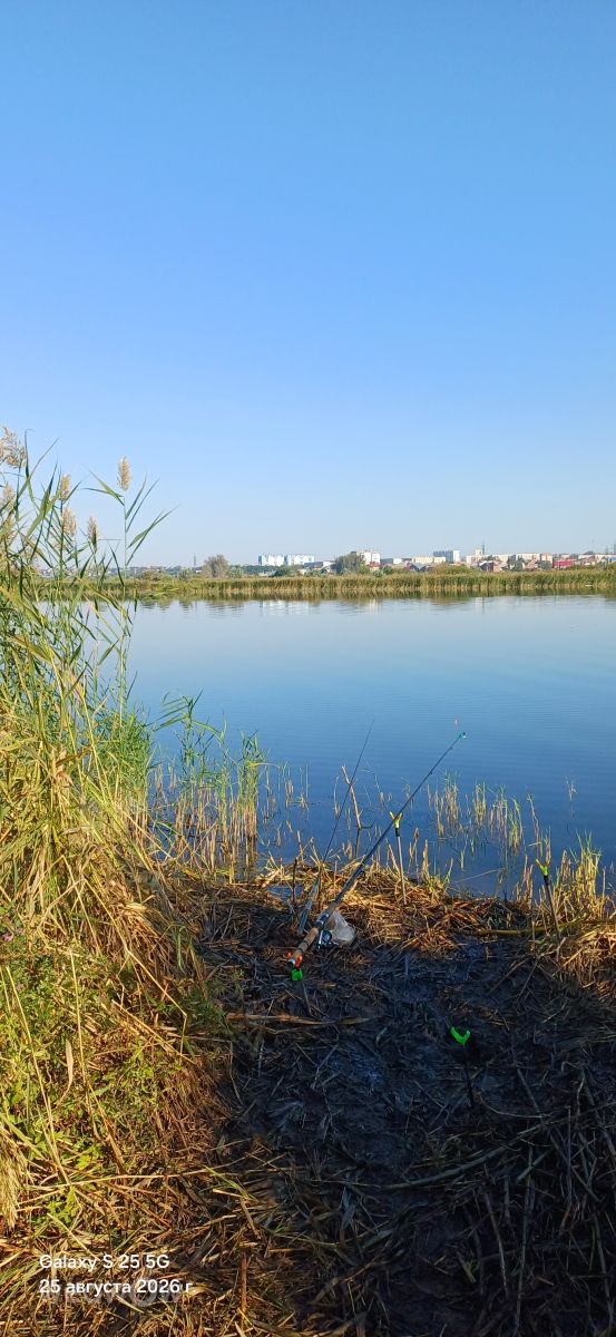 Weather Photos in Chelyabinsk. Weather forecasts with beautiful photos by vic74furt762