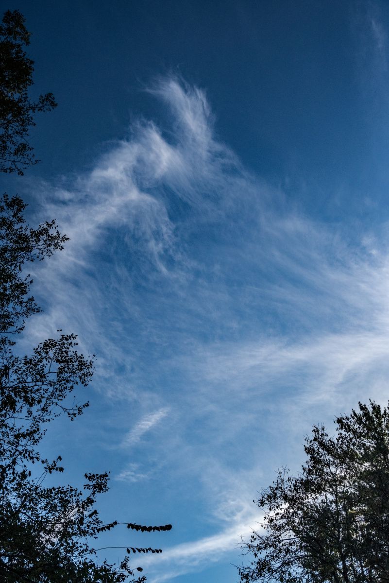 Weather Photos in Clifty Falls State Park. Weather forecasts with beautiful photos by krantzjh