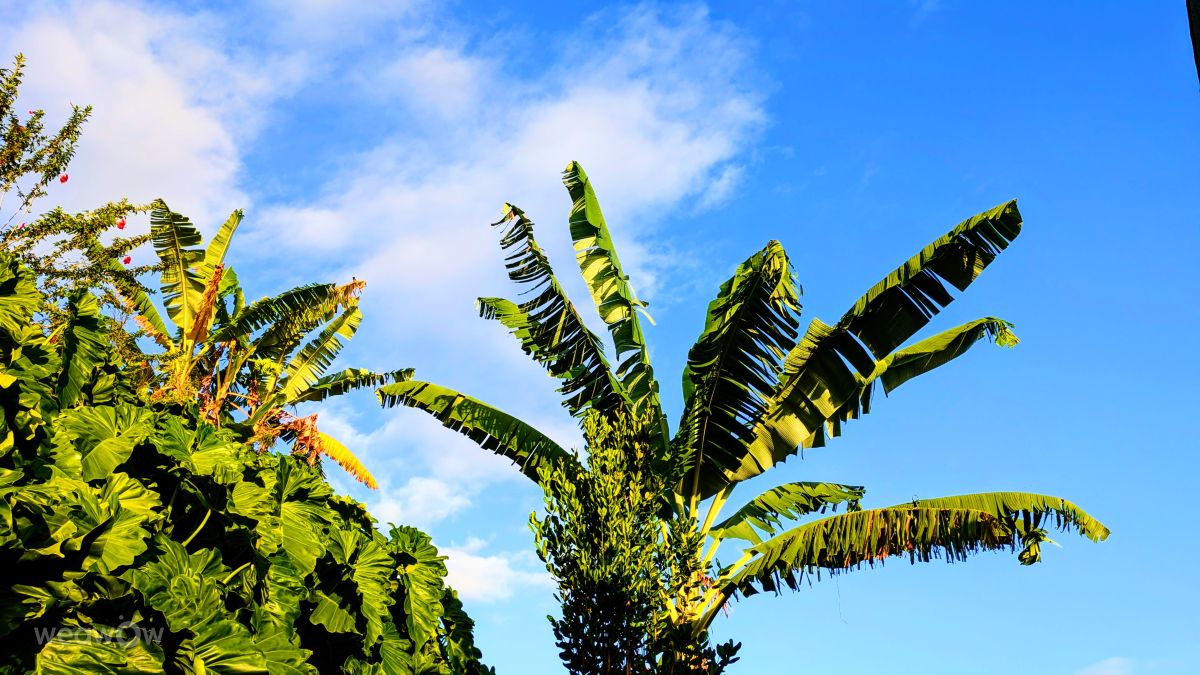 Weather Photos in French Polynesia. Weather forecasts with beautiful photos by Teuira