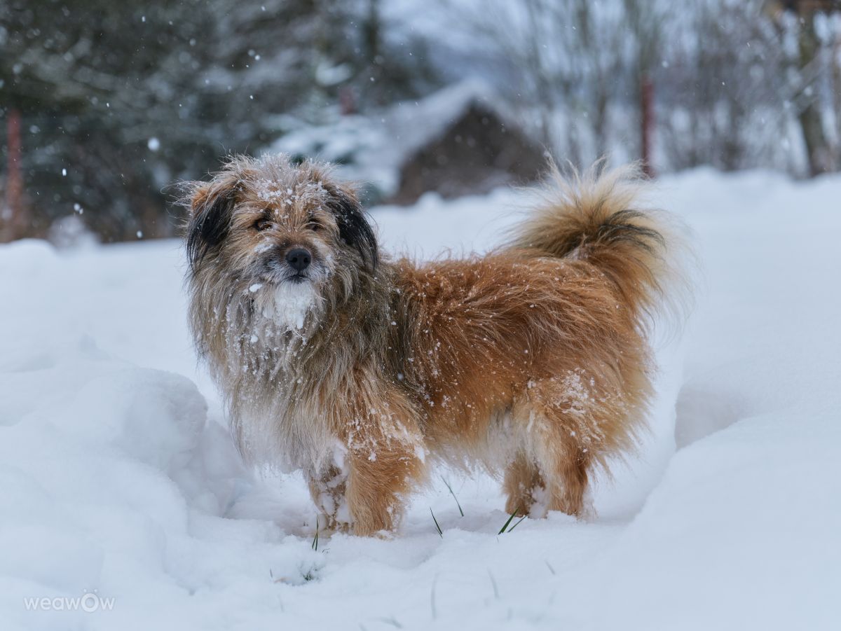 Weather forecasts with beautiful photos by Aleh_Narushevich