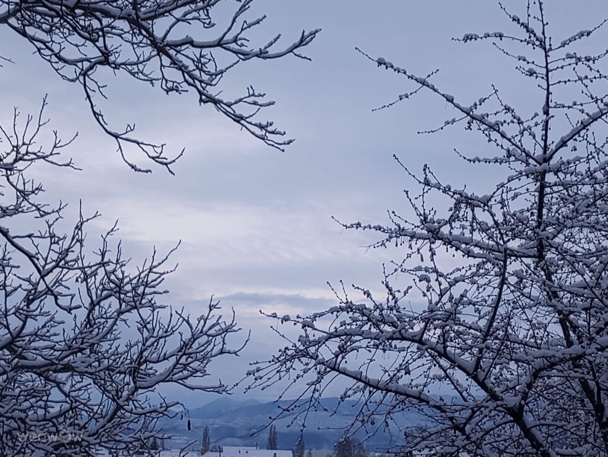 Weather Photos in Codlea. Weather forecasts with beautiful photos by Romulus_C66