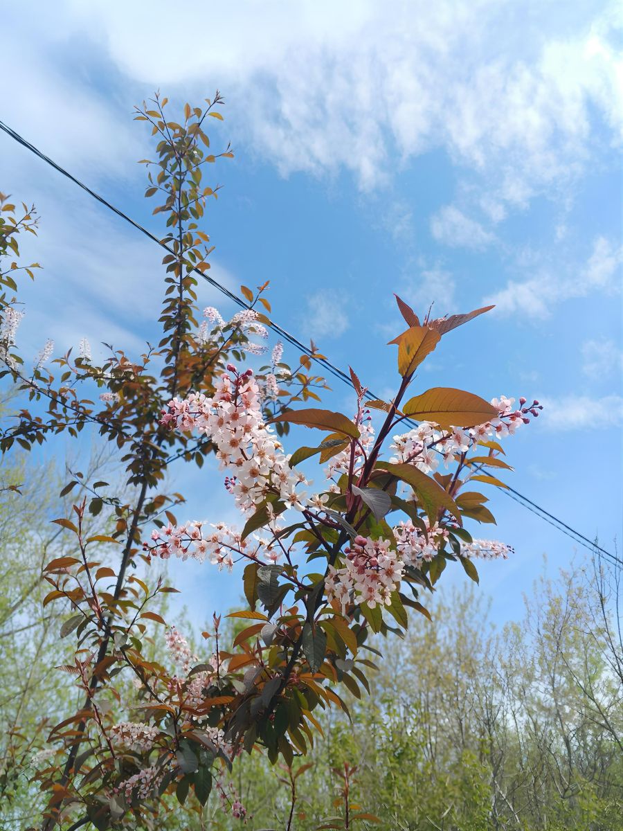 Fotos sobre el clima en Krasnoobsk. Pronósticos del tiempo con hermosas fotos de xxferf