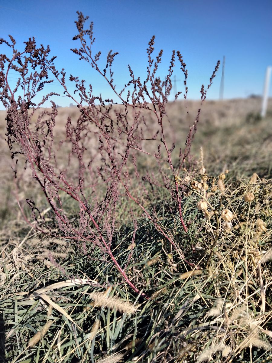 Photographer Kate72, Weather Photos in Parnell - Weawow