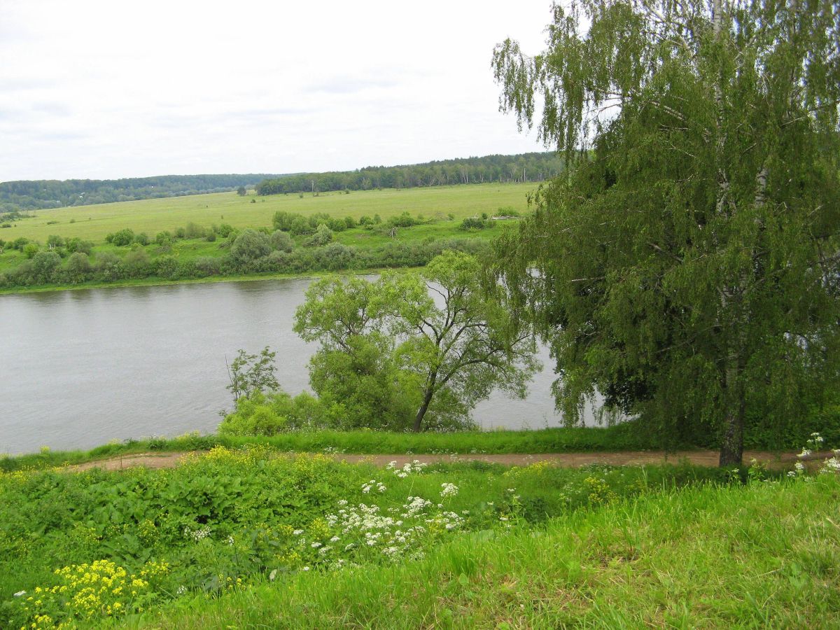 Fotos do tempo em Kaluga Oblast. Previsões do tempo com lindas fotos de 19Larisa46