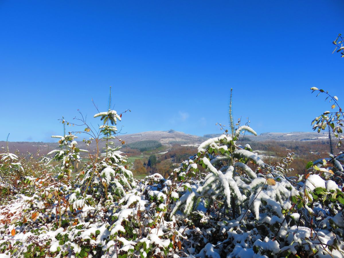 Weather Photos in Le Mayet-de-Montagne. Weather forecasts with beautiful photos by MariePhotos