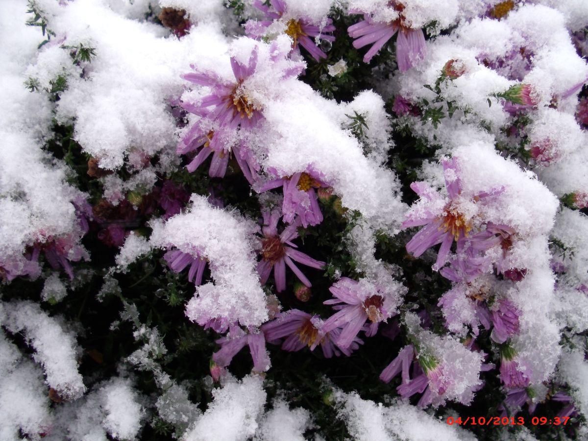 Fotos sobre el clima en Luhansk. Pronósticos del tiempo con hermosas fotos de elek3k