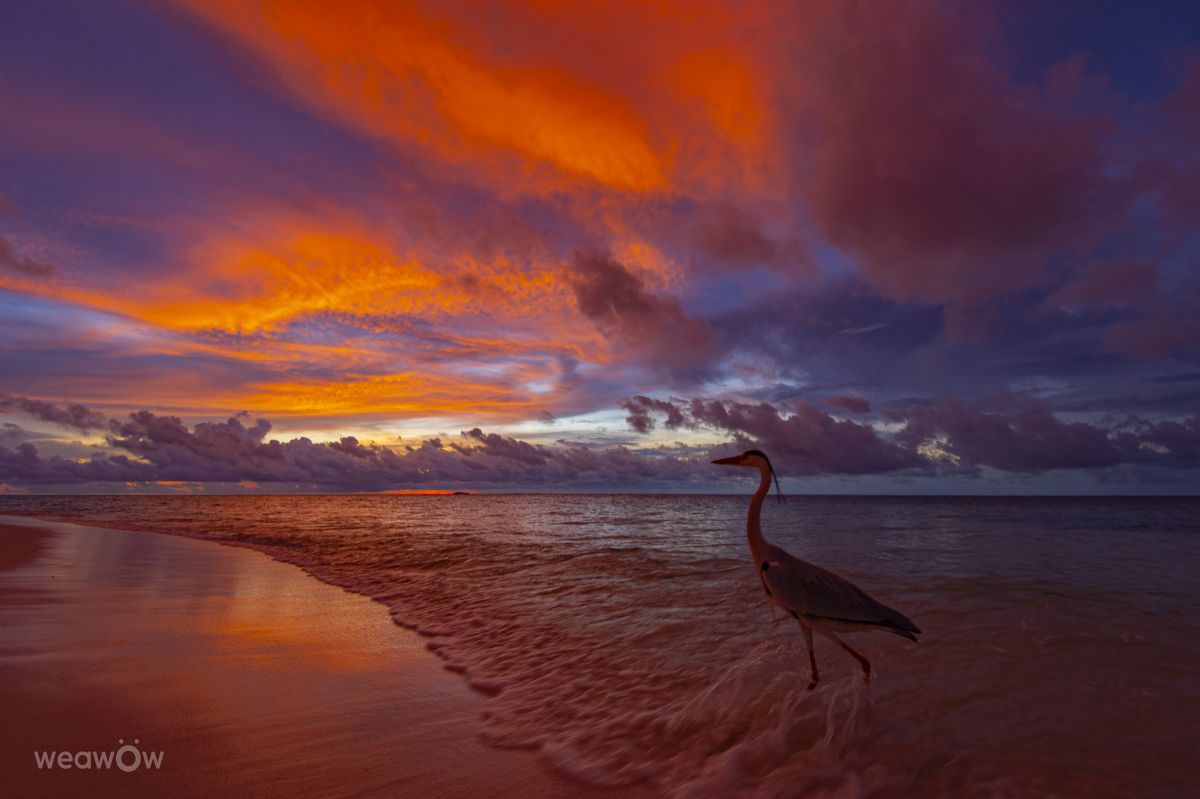 Weather forecasts with beautiful photos by White