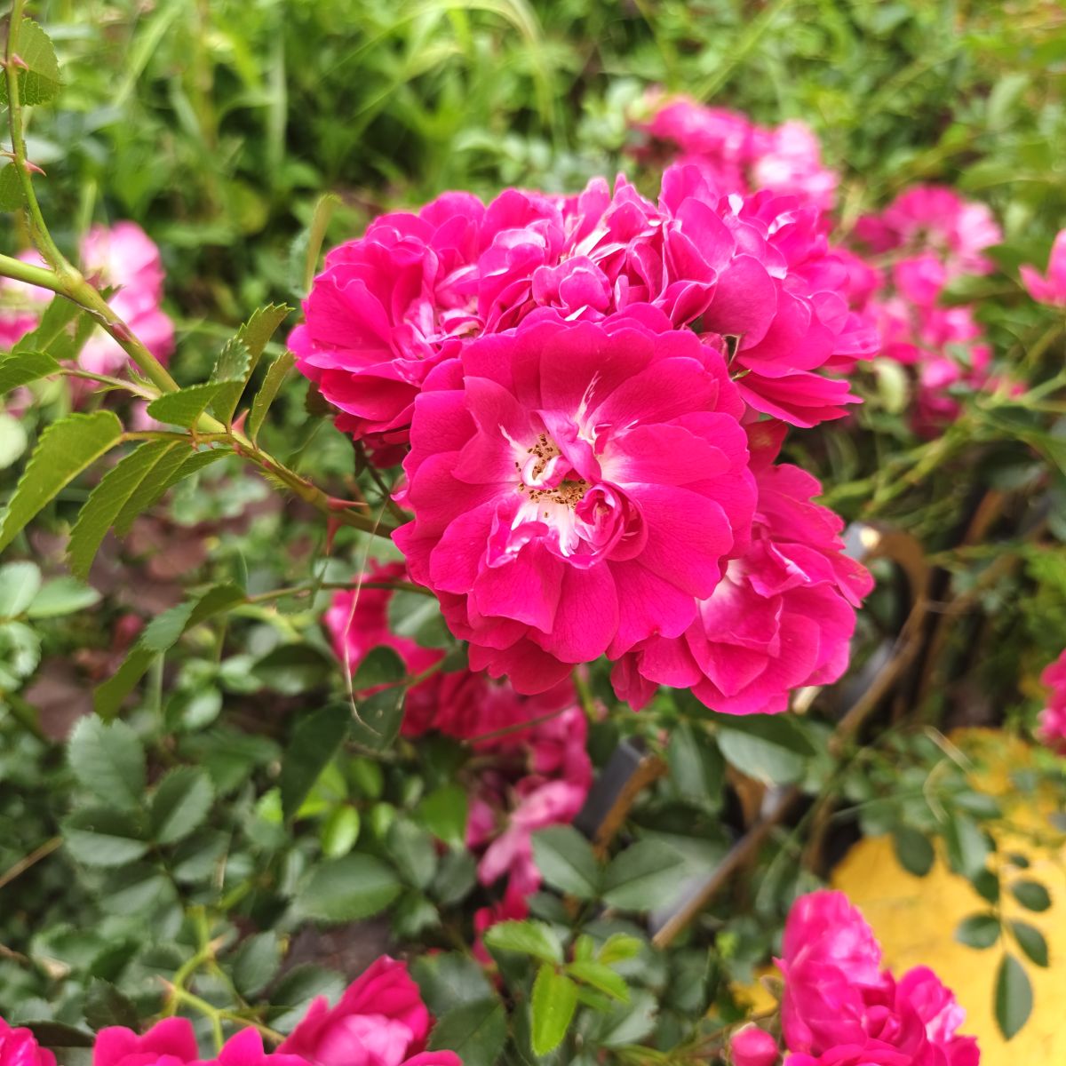 Weather Photos in Russia. Weather forecasts with beautiful photos by Ivanoff