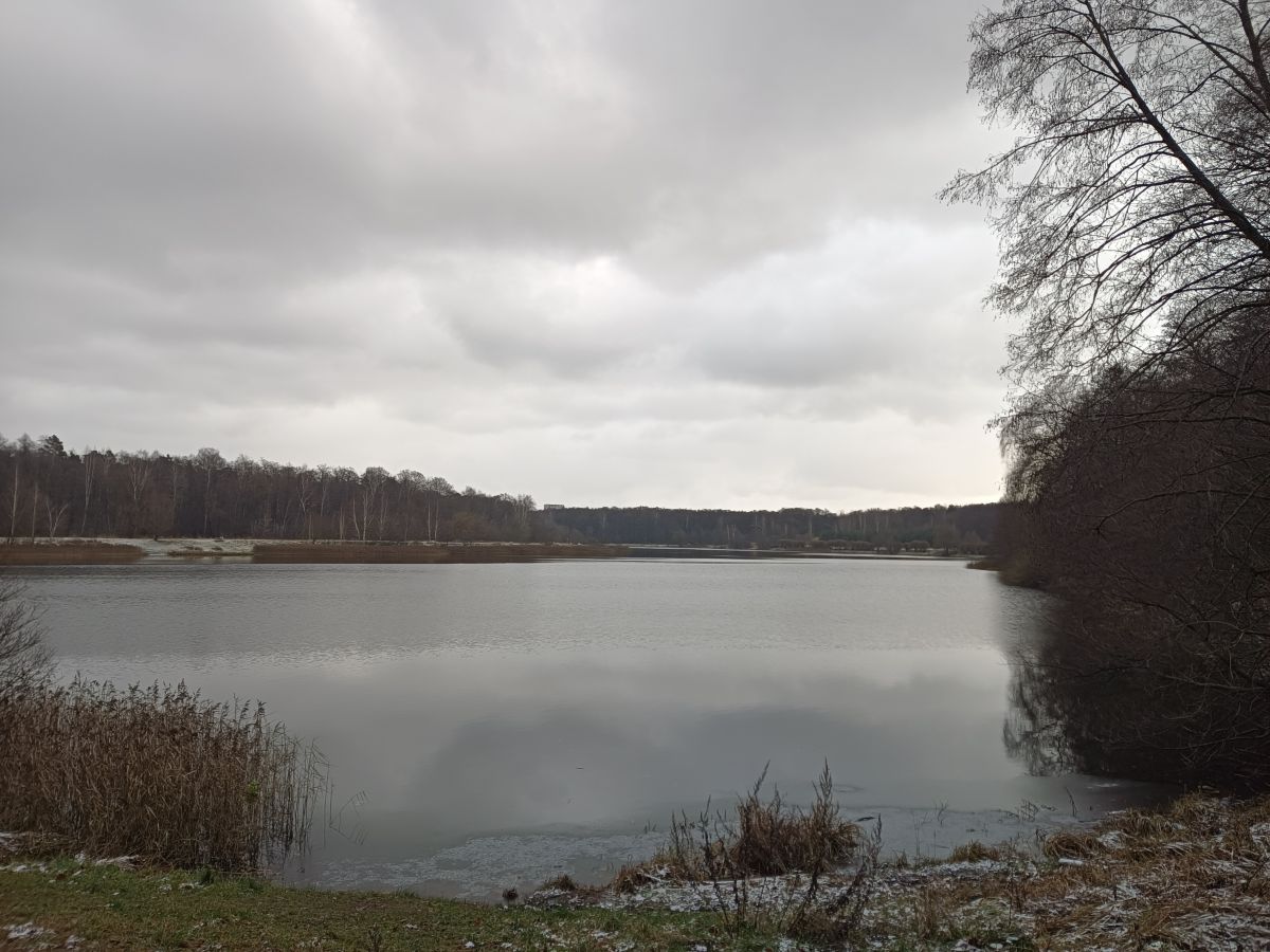 Photographer Amanda_and_Valdemar_Che, Weather Photos in Izmaylovo District - Weawow