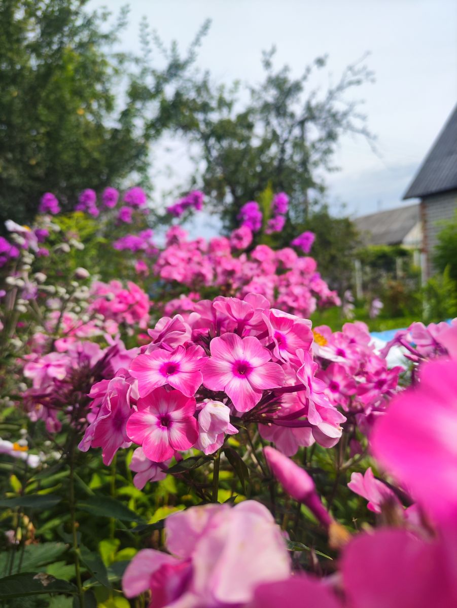 Weather Photos in Minsk. Weather forecasts with beautiful photos by Neckoby