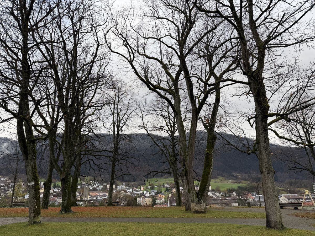 Photographe SwissEloi, Photos météo à Develier - Weawow